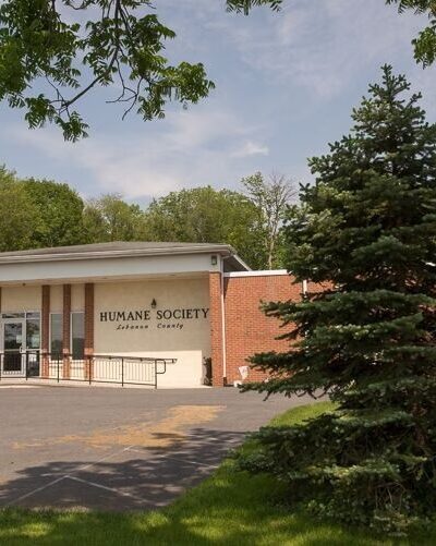 Humane Society of Lebanon County - Myerstown, PA