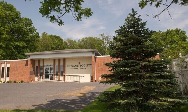 Humane Society of Lebanon County - Myerstown, PA