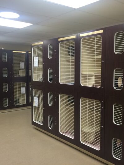 Humane Society of Lebanon County - Myerstown, PA