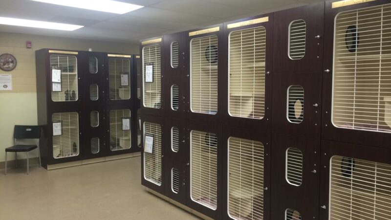 Humane Society of Lebanon County - Myerstown, PA