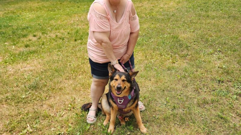 Humane Society of Lebanon County - Myerstown, PA