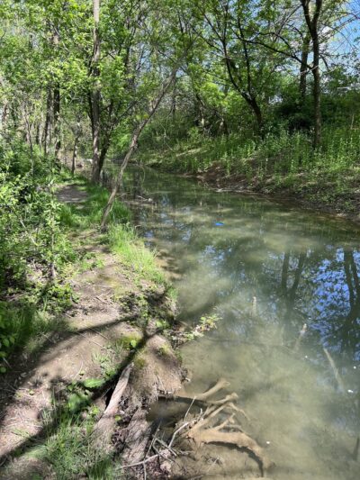Jackson Recreational Park and Disc Golf Course - Myerstown, PA