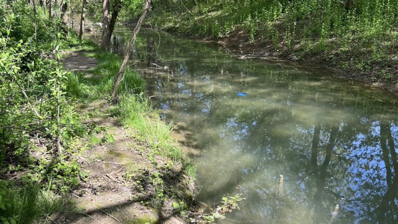 Jackson Recreational Park and Disc Golf Course - Myerstown, PA