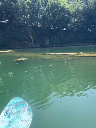 Myerstown Quarry Lake - Myerstown, PA