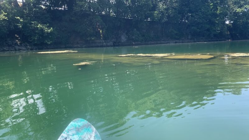 Myerstown Quarry Lake - Myerstown, PA
