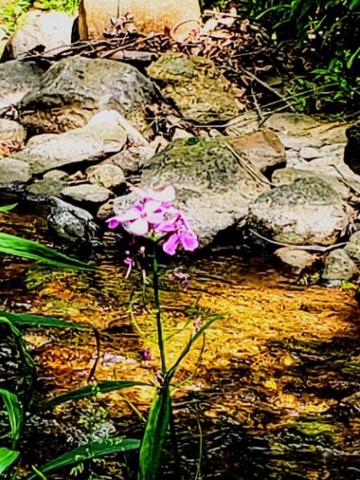 Grindstone Run Park - Myersville, MD
