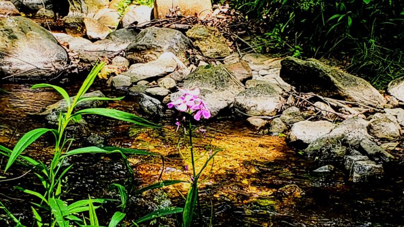 Grindstone Run Park - Myersville, MD