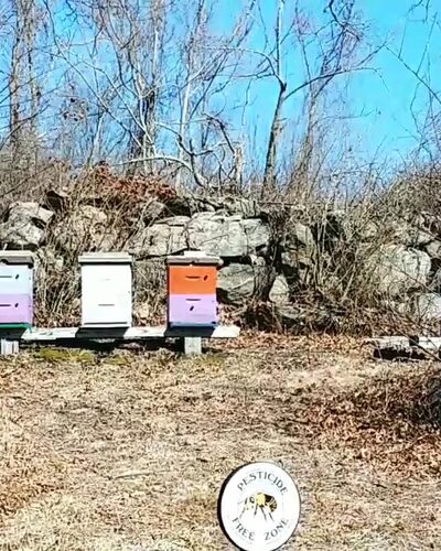 Denison Pequotsepos Nature Center - Mystic, CT