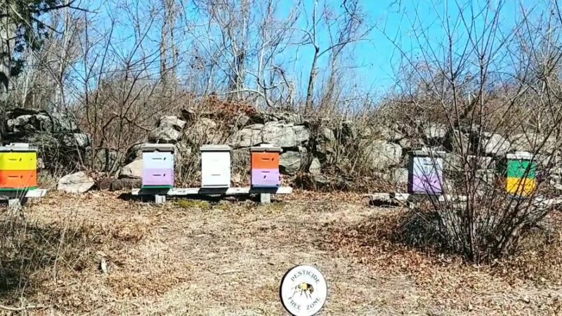 Denison Pequotsepos Nature Center - Mystic, CT