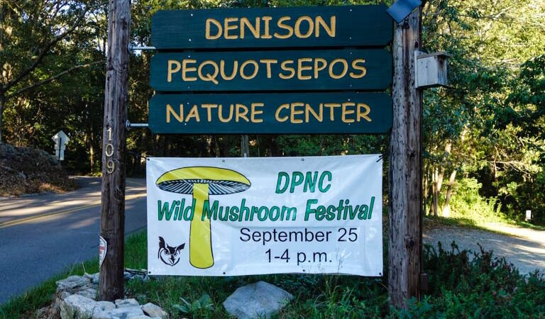 Denison Pequotsepos Nature Center - Mystic, CT