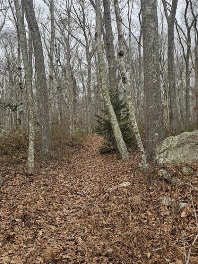 Hidden Lake Walking Trails - Mystic, CT