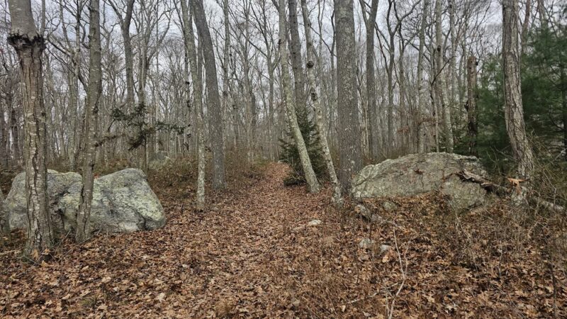 Hidden Lake Walking Trails - Mystic, CT