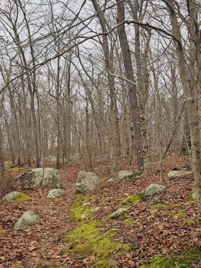Hidden Lake Walking Trails - Mystic, CT