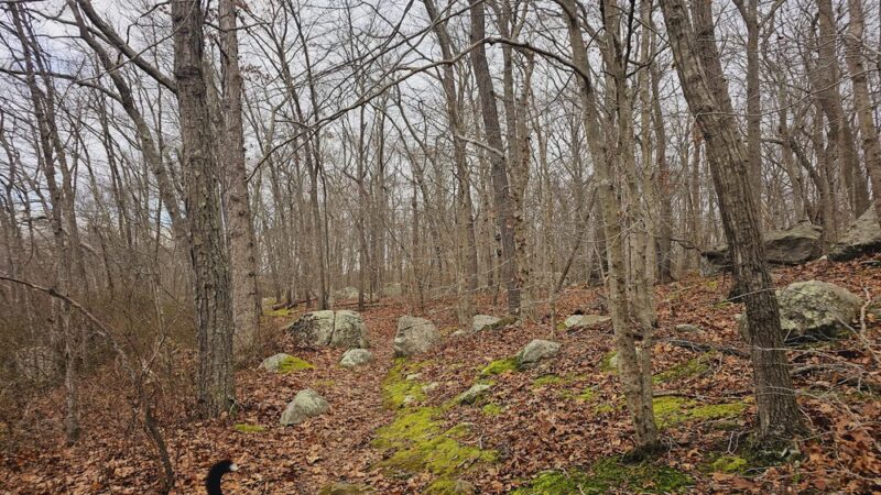 Hidden Lake Walking Trails - Mystic, CT