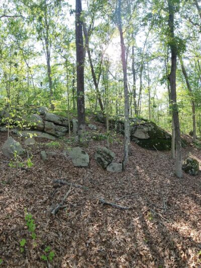 Peace Sanctuary - Mystic, CT