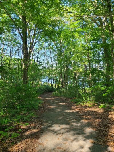 Peace Sanctuary - Mystic, CT