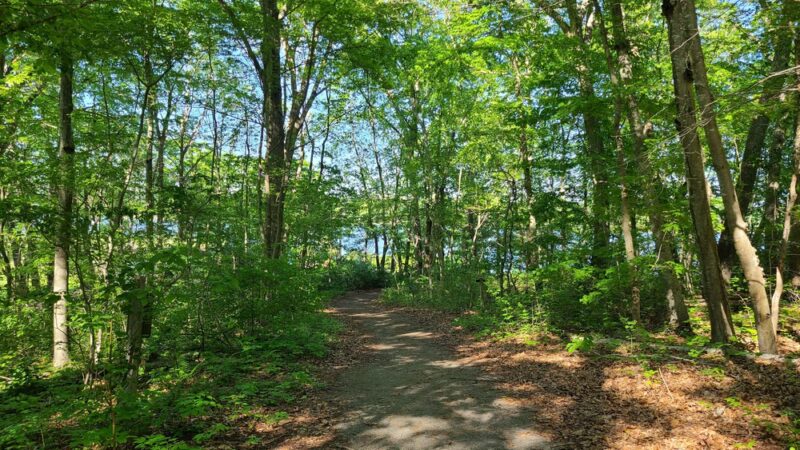 Peace Sanctuary - Mystic, CT