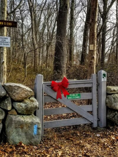 Town's End Preserve and Trail - Mystic, CT