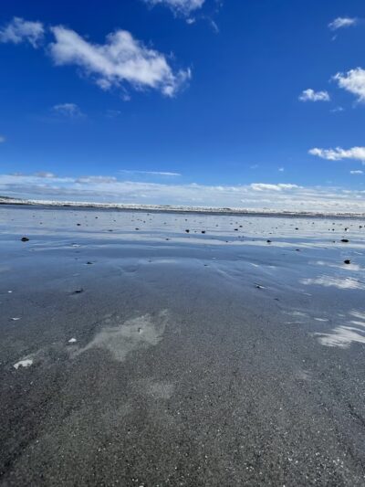 Nahant Beach And Playground - Nahant, MA