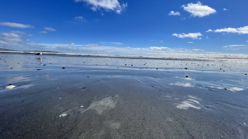 Nahant Beach And Playground - Nahant, MA