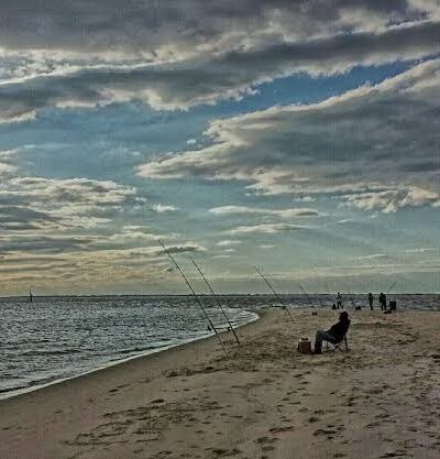 Roaring Point Campground - Nanticoke, MD