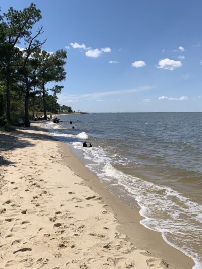 Roaring Point Park - Nanticoke, MD