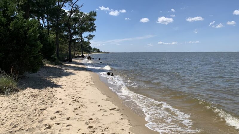 Roaring Point Park - Nanticoke, MD