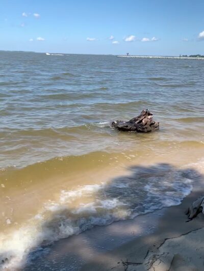 Roaring Point Park - Nanticoke, MD
