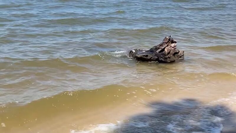 Roaring Point Park - Nanticoke, MD