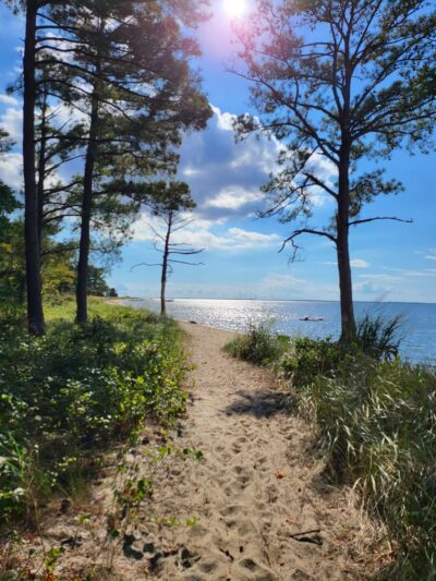 Roaring Point Park - Nanticoke, MD