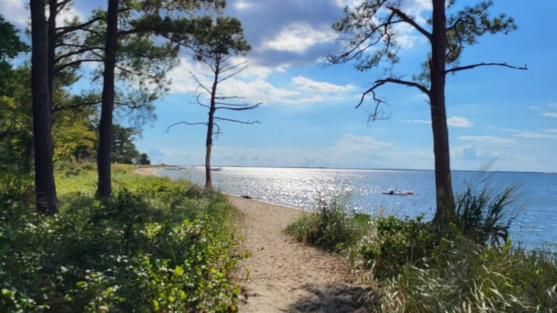 Roaring Point Park - Nanticoke, MD