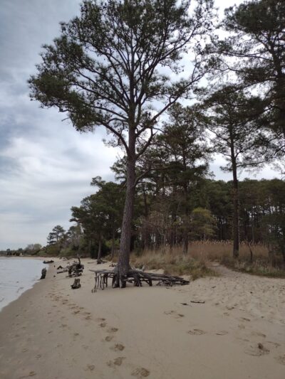 Roaring Point Park - Nanticoke, MD