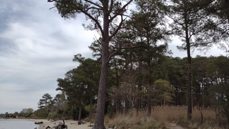 Roaring Point Park - Nanticoke, MD