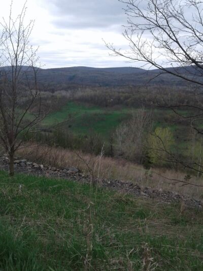 Newport Township Recreation Area - Nanticoke, PA