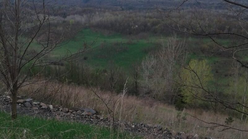 Newport Township Recreation Area - Nanticoke, PA