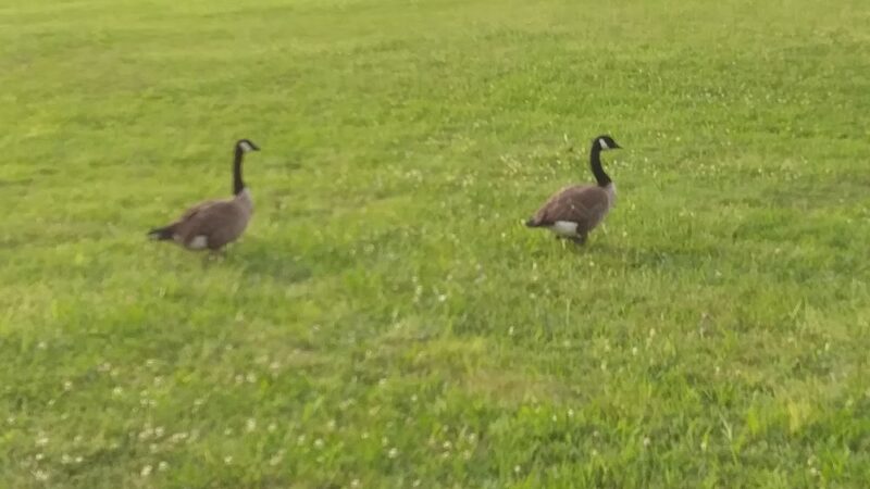 Nanuet Sports Grounds And Trail - Nanuet, NY