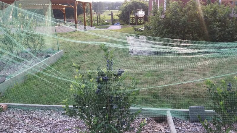 Nanuet Sports Grounds And Trail - Nanuet, NY