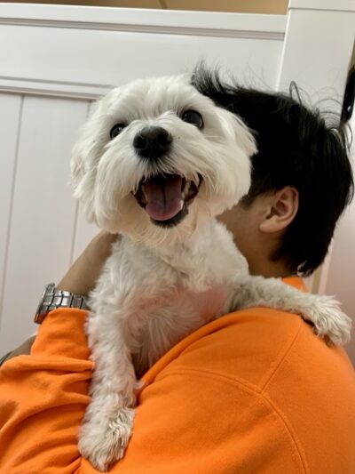 Paw Pals - Nanuet, NY