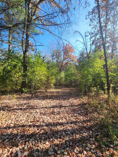 Green Valley Forest Preserve - Naperville, IL
