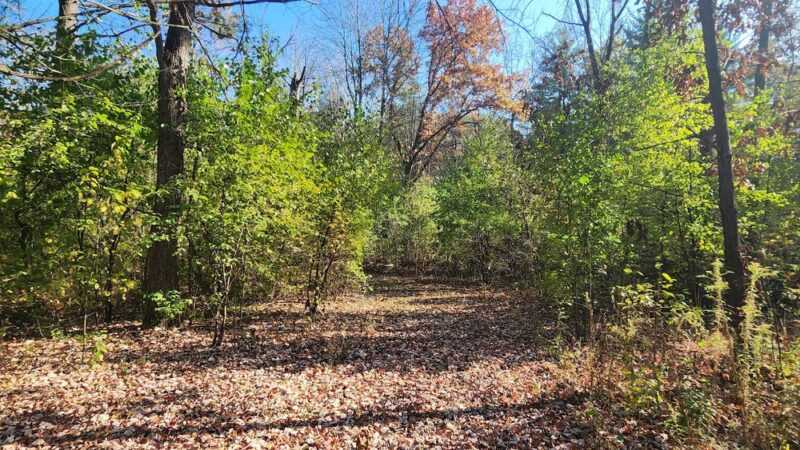 Green Valley Forest Preserve - Naperville, IL