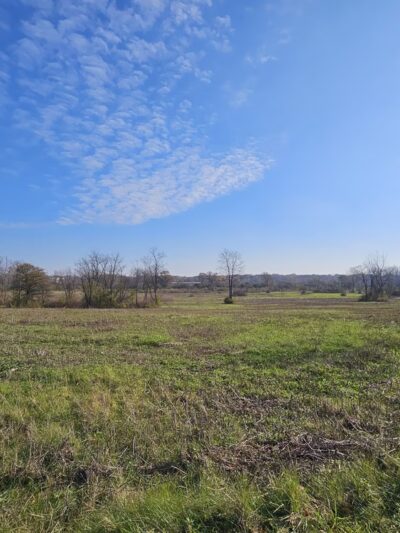 Green Valley Forest Preserve - Naperville, IL
