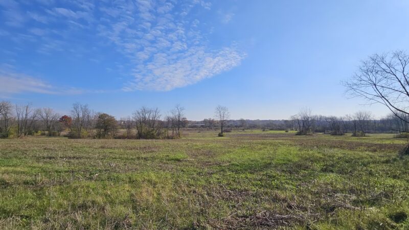 Green Valley Forest Preserve - Naperville, IL