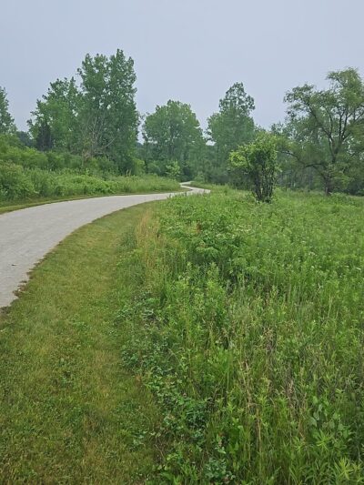Green Valley Forest Preserve - Naperville, IL