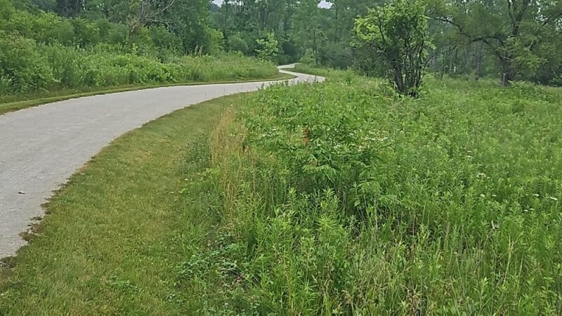 Green Valley Forest Preserve - Naperville, IL