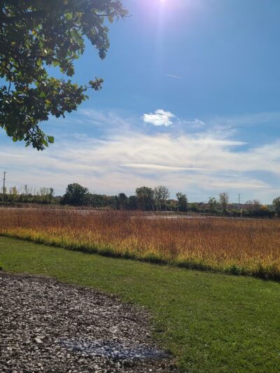 Whalon Park Dog Park Parking Lot - Naperville, IL