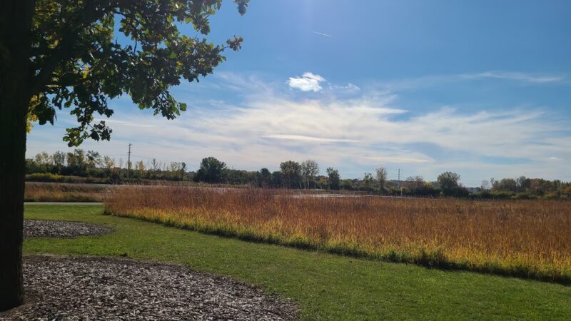 Whalon Park Dog Park Parking Lot - Naperville, IL