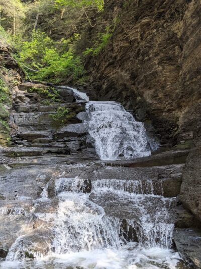Conklin's Gully - Naples, NY