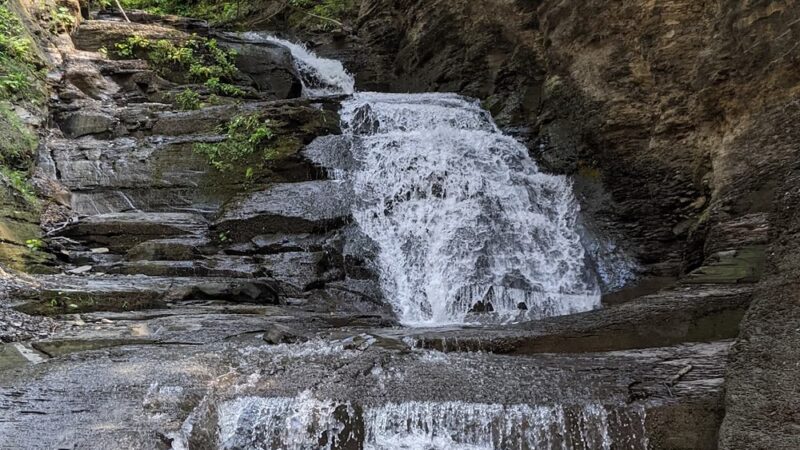 Conklin's Gully - Naples, NY