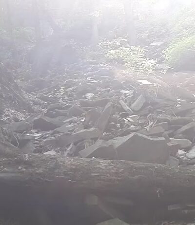 Conklin's Gully - Naples, NY