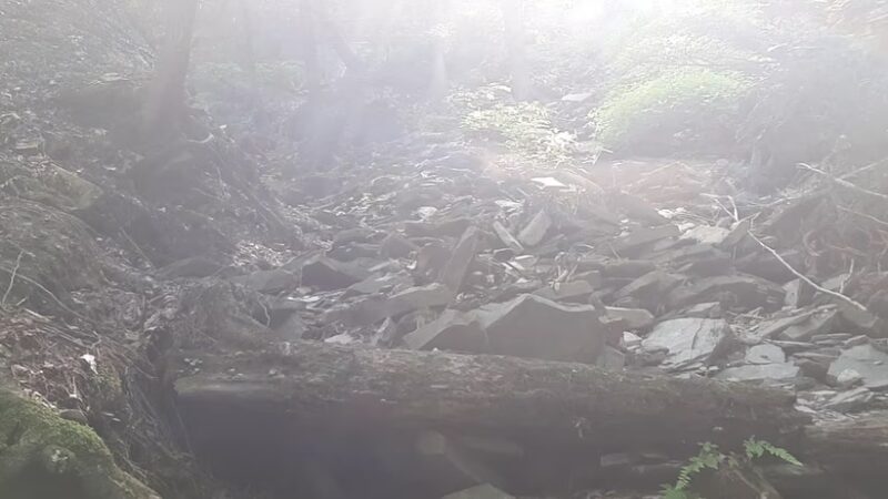 Conklin's Gully - Naples, NY